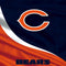 NFL Chicago Bears MacBook Skins